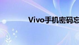 Vivo手机密码忘了怎么刷机