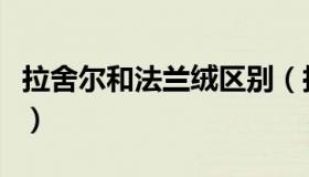 拉舍尔和法兰绒区别（拉舍尔和法兰绒哪个好）
