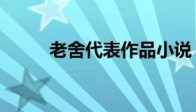 老舍代表作品小说（老舍代表作）
