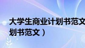 大学生商业计划书范文25页（大学生商业计划书范文）