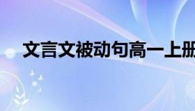 文言文被动句高一上册（文言文被动句）