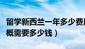 留学新西兰一年多少费用（新西兰留学一年大概需要多少钱）