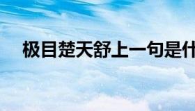 极目楚天舒上一句是什么（极目楚天舒）
