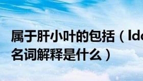 属于肝小叶的包括（ldquo 肝小叶 rdquo 的名词解释是什么）