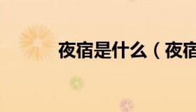 夜宿是什么（夜宿是什么意思）