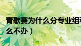 青歌赛为什么分专业组和业余组（青歌赛为什么不办）