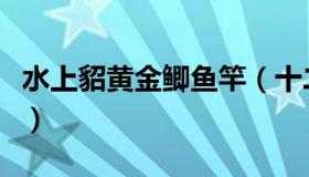 水上貂黄金鲫鱼竿（十二米长水上貂鱼杆价格）