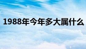 1988年今年多大属什么（1988年今年几岁）