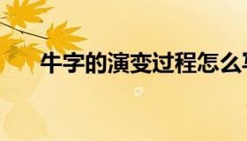 牛字的演变过程怎么写（牛字的演变）