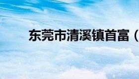 东莞市清溪镇首富（东莞市清溪镇）