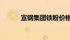 宣钢集团铁粉价格（宣钢集团）