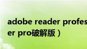 adobe reader professional（adobe reader pro破解版）