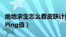 绝地求生怎么看皮肤计数器（绝地求生怎么看Ping值）