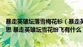 暴走英雄坛落雪梅花衫（暴走英雄坛雪花纷飞耀满天什么意思 暴走英雄坛雪花纷飞有什么）