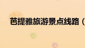 芭提雅旅游景点线路（芭提雅旅游景点）