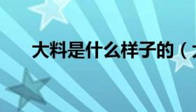 大料是什么样子的（大料是什么调料）