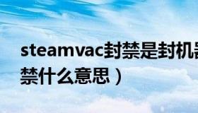 steamvac封禁是封机器码吗（steamvac封禁什么意思）