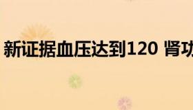 新证据血压达到120 肾功能易恶化（新证据）