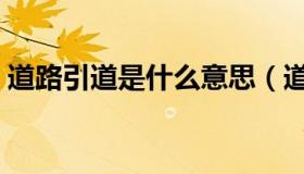 道路引道是什么意思（道路引道是什么意思）
