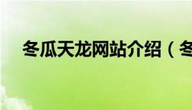 冬瓜天龙网站介绍（冬瓜天龙私服官网）