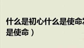 什么是初心什么是使命发言（什么是初心什么是使命）