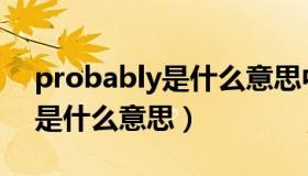 probably是什么意思中文翻译（probably是什么意思）