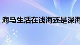 海马生活在浅海还是深海（海马生活在哪里）