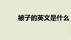 被子的英文是什么（被子的英文）