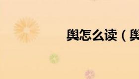 舆怎么读（舆怎么读）