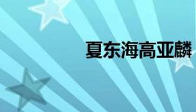 夏东海高亚麟（夏东海）