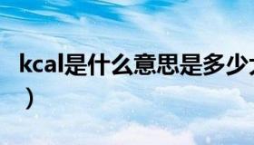 kcal是什么意思是多少大卡（kcal是什么意思）