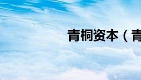 青桐资本（青桐资本）