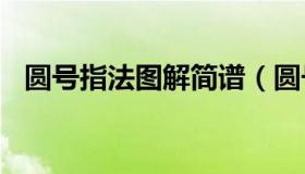 圆号指法图解简谱（圆号指法图表(简谱)）