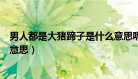 男人都是大猪蹄子是什么意思呢（男人都是大猪蹄子是什么意思）