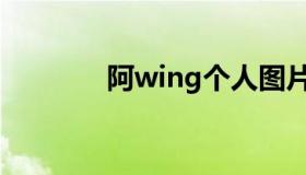 阿wing个人图片（阿wing）