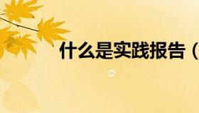 什么是实践报告（什么是实践）
