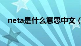 neta是什么意思中文（neta是什么意思）