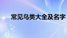 常见鸟类大全及名字（常见鸟类大全）