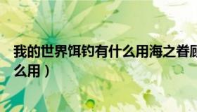 我的世界饵钓有什么用海之眷顾的区别（我的世界饵钓有什么用）