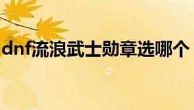dnf流浪武士勋章选哪个（dnf流浪武士勋章）