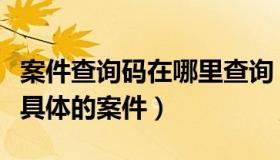 案件查询码在哪里查询（有案件查询码怎么查具体的案件）