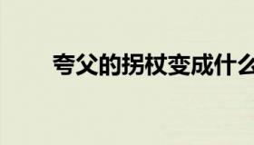 夸父的拐杖变成什么（夸父的读音）