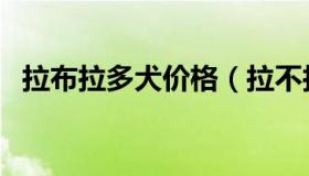 拉布拉多犬价格（拉不拉多狗多少钱一只）
