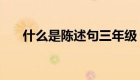 什么是陈述句三年级（什么是陈述句）