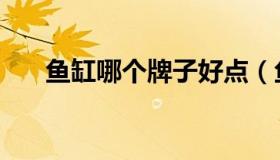 鱼缸哪个牌子好点（鱼缸哪个牌子好）