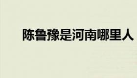 陈鲁豫是河南哪里人（陈鲁豫有孩子）