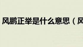 风鹏正举是什么意思（风鹏正举是什么意思）