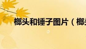 榔头和锤子图片（榔头和锤子的区别）