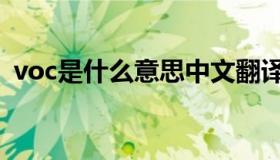 voc是什么意思中文翻译（voc是什么意思）