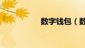 数字钱包（数字钱包）
